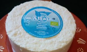 queijo fresco Val de Alfaia