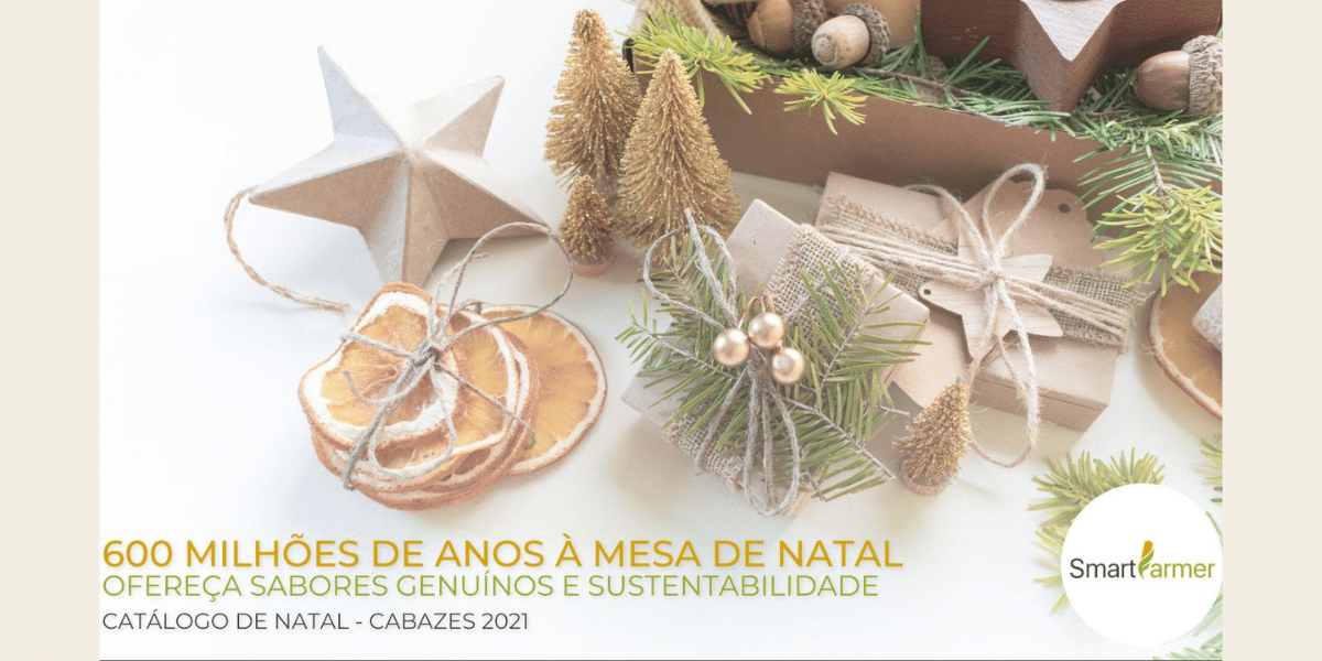 campanha de natal